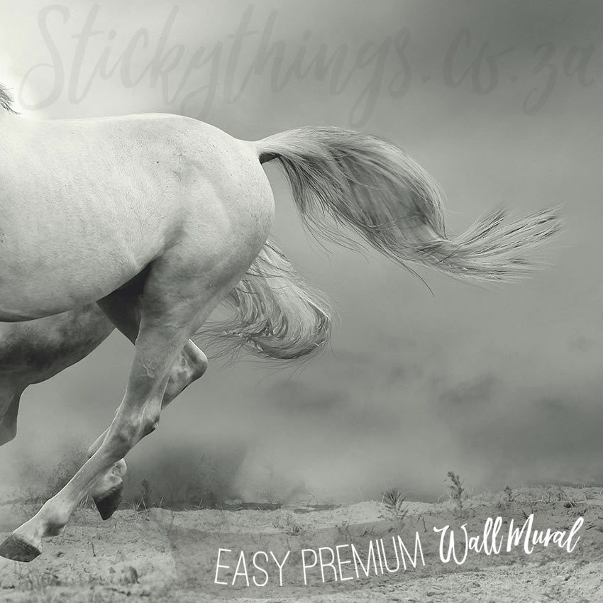 Buy White Horse in Stall Door Mural Sticker Skin Cover Online in