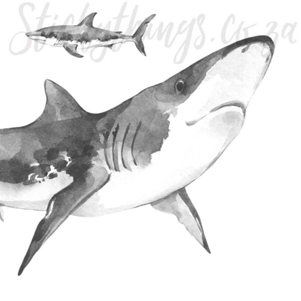 Watercolour Sharks Wall Decals - Great White Shark Wall Stickers - Image 5