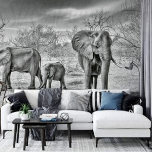 elephants wall mural