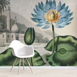 Water Lilies Wall Mural in colour