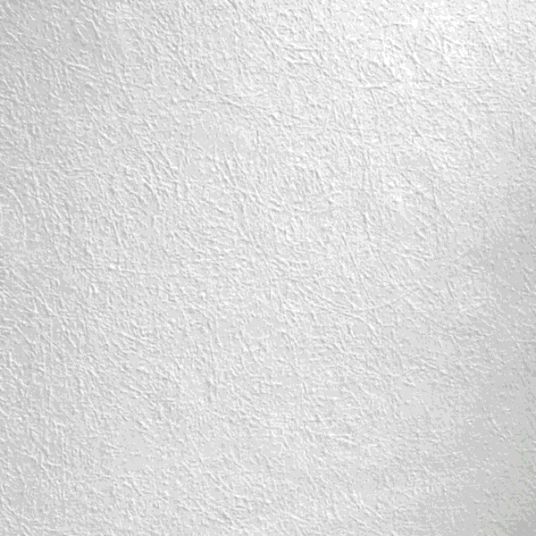 Commercial Paintable Wallpaper
