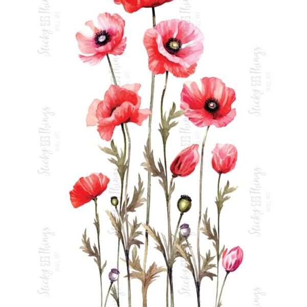 Watercolour Poppies 1